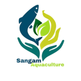 sangamaquaculture.com